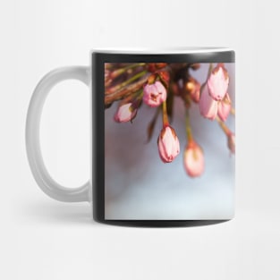 Cherry Tree Buds Mug